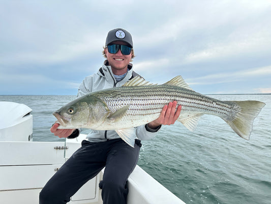 38 inch Striped Bass Caught in the Rips off Cape Cod